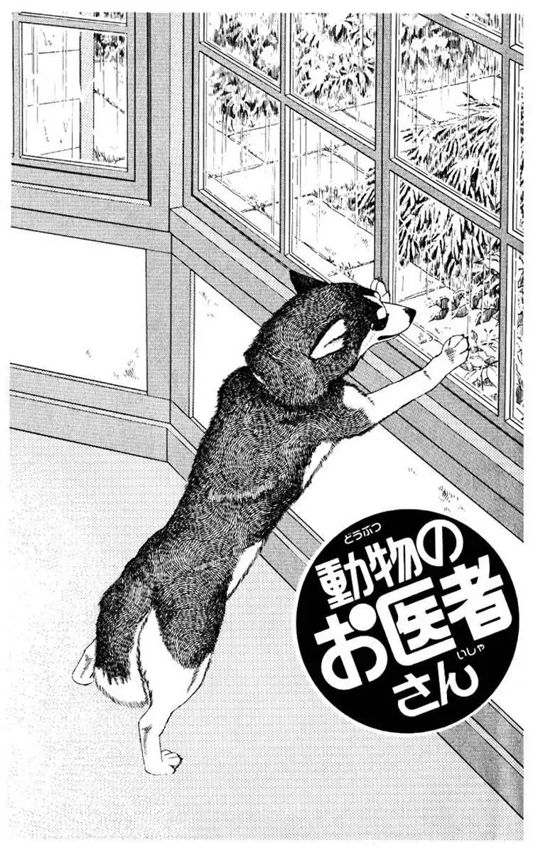 Doubutsu no Oishasan Chapter 53 4